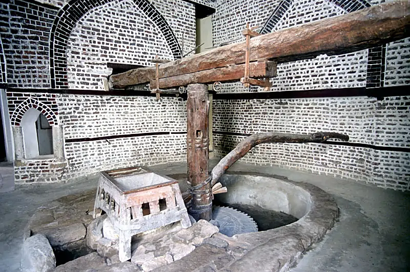 Day Tour to Rosetta from Alexandria