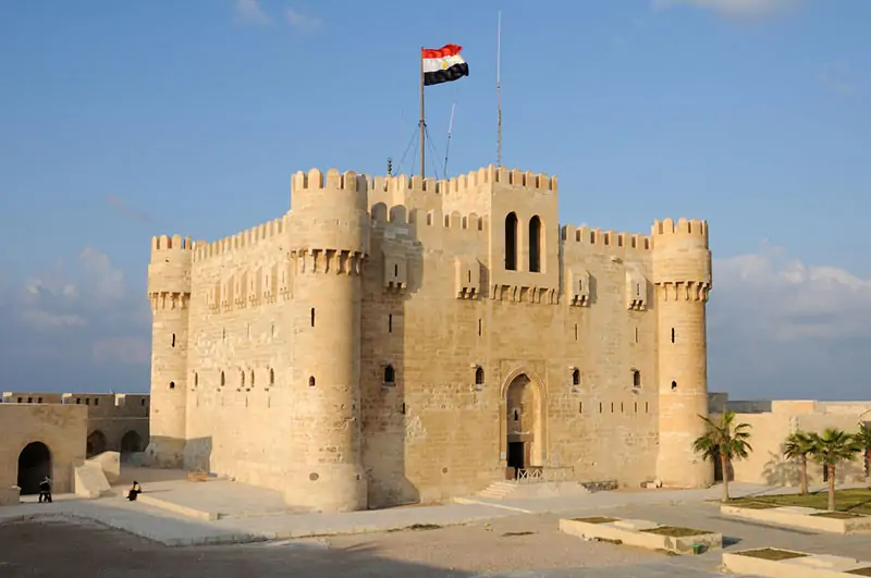 1 Day Tour in Alexandria