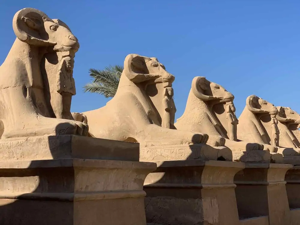 The Ultimate Program