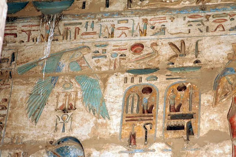 Queen Nefertari Program