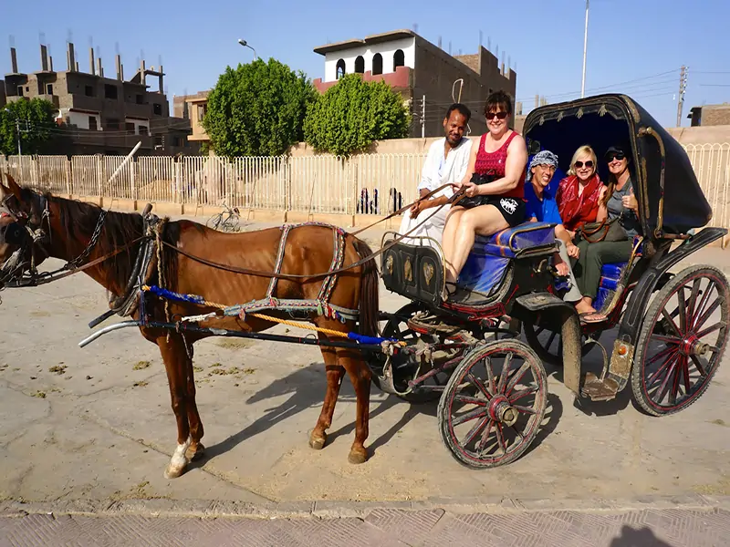 Cultural City Tour in Luxor by Horse-Drawn Carriage